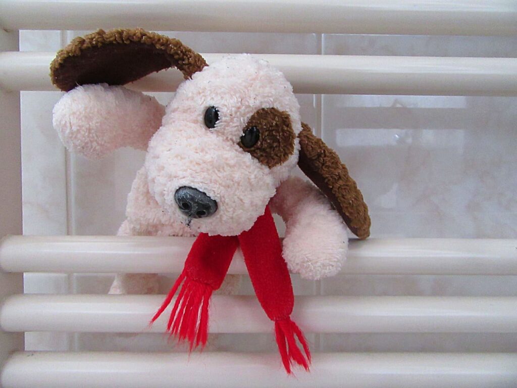 Peluquería canina en Pueblo Nuevo